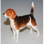 A BESWICK FIGURE OF A BEAGLE "CH. WENDOVER BILLY"