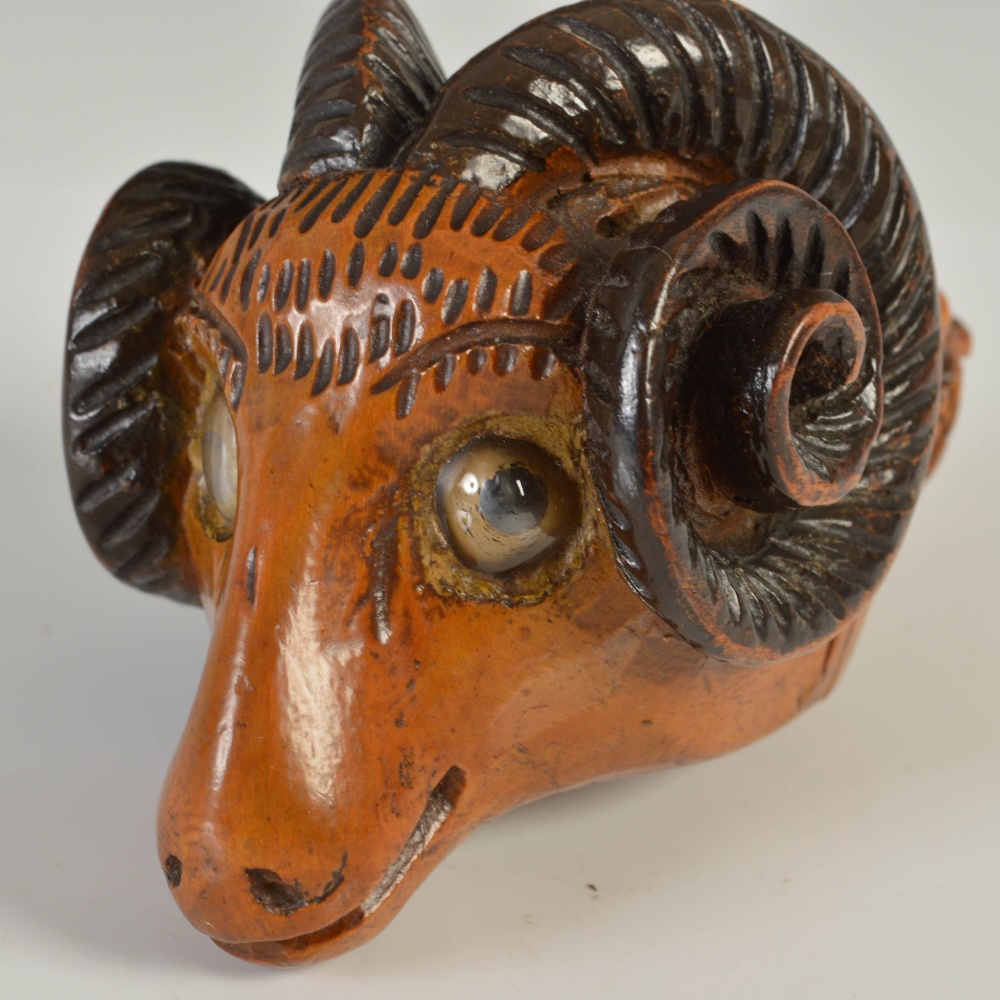 A highly unusual mid 19th century treen snuff mull, carved in the form of a ram's head with darker - Image 2 of 5