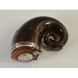 An unusual mid 18th century Scottish curled horn snuff mull, the terminal in the form of a