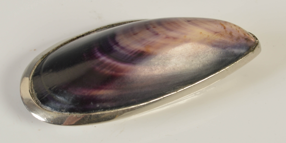 A late 19th century mussel shell snuff box, with silvered-brass mounts and three-quarter opening