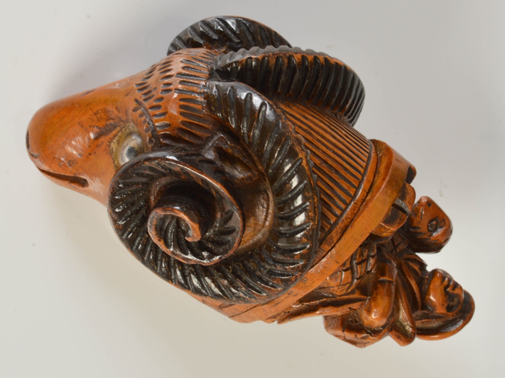 A highly unusual mid 19th century treen snuff mull, carved in the form of a ram's head with darker