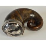 A late 19th century curly horn snuff mull, with silver mounts and a large thistle on the cover,