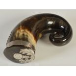 A very large 19th century curled horn snuff mull, with silver thistle mounts, the silver