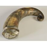 A large mid 19th century Scottish curly horn table snuff mull, with silvered thistle mount and