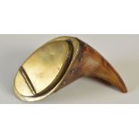 A mid 19th century deer's foot snuff mull, with plain brass mounts and brass studs around the rim,