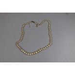 Cultured pearl necklace with gold clasp