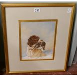 Fine watercolour 19thC - Dog with grouse- Approx IS: 25cm x 30cm