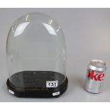 Victorian glass display dome with base. 26cm x 21cm