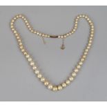 Gold clasp pearl necklace