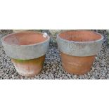 Pair of terracotta planters