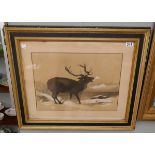 Pencil sketch of stag marked EE - Approx IS: 50cm x 35cm