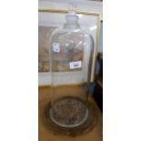 Handblown display case on stand marked Monax - Approx. height: 46cm