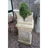 Chimney pot and fern