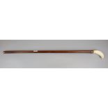 Whale tooth handled walking stick