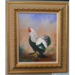 Bev Taylor: "Dark Brahma Bantam cock" Oil on Canvas. Inscribed verso. Image: 51cm x 40.5cm