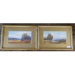 Pair of watercolours - Rural scenes signed F Stafford