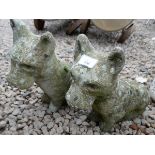 Pair of stone dogs