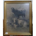 Sketch of cattle Signed George Cooper 1882 - Approx IS: 49cm x 38cm