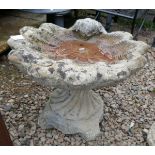 Stone shell bird bath