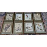 Collection of Marjorie Blamey prints