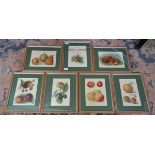 7 framed prints - The Fruit Growers Guide