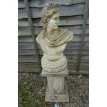 Stone bust on plinth - Approx H: 104cm