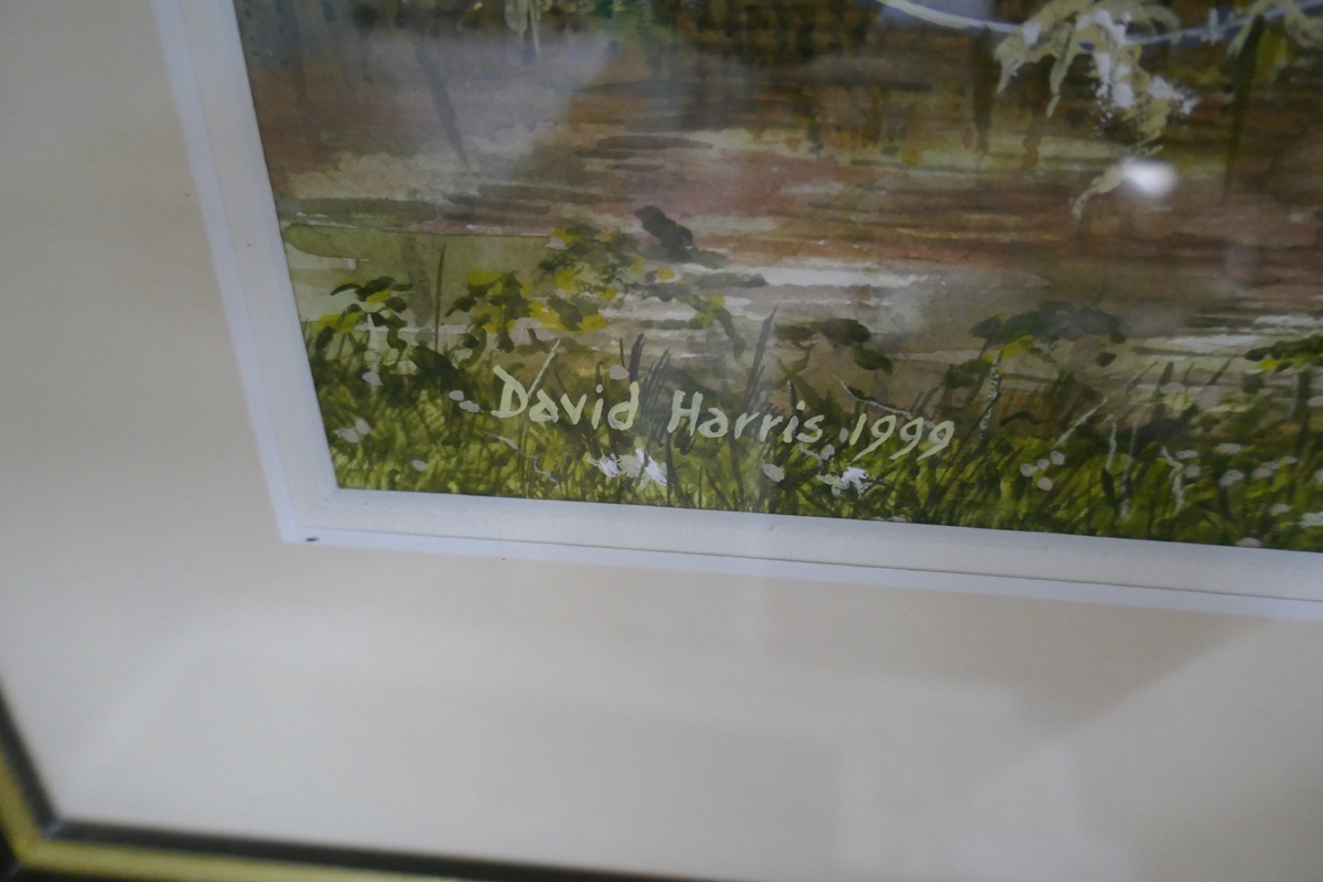 3 original watercolours by David Harris - Bild 4 aus 7