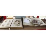 2 early well populated photo albums