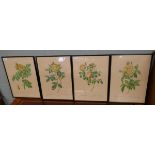 Set of 4 botanical prints