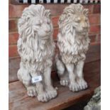 Pair of stone lions - Approx height: 38cm