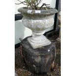 Stone pedestal planter on wooden plinth - Height 84cm
