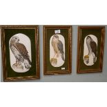 Set of 3 ceramic bird pictures
