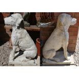 Pair of large stone dogs - Approx. height: 78cm