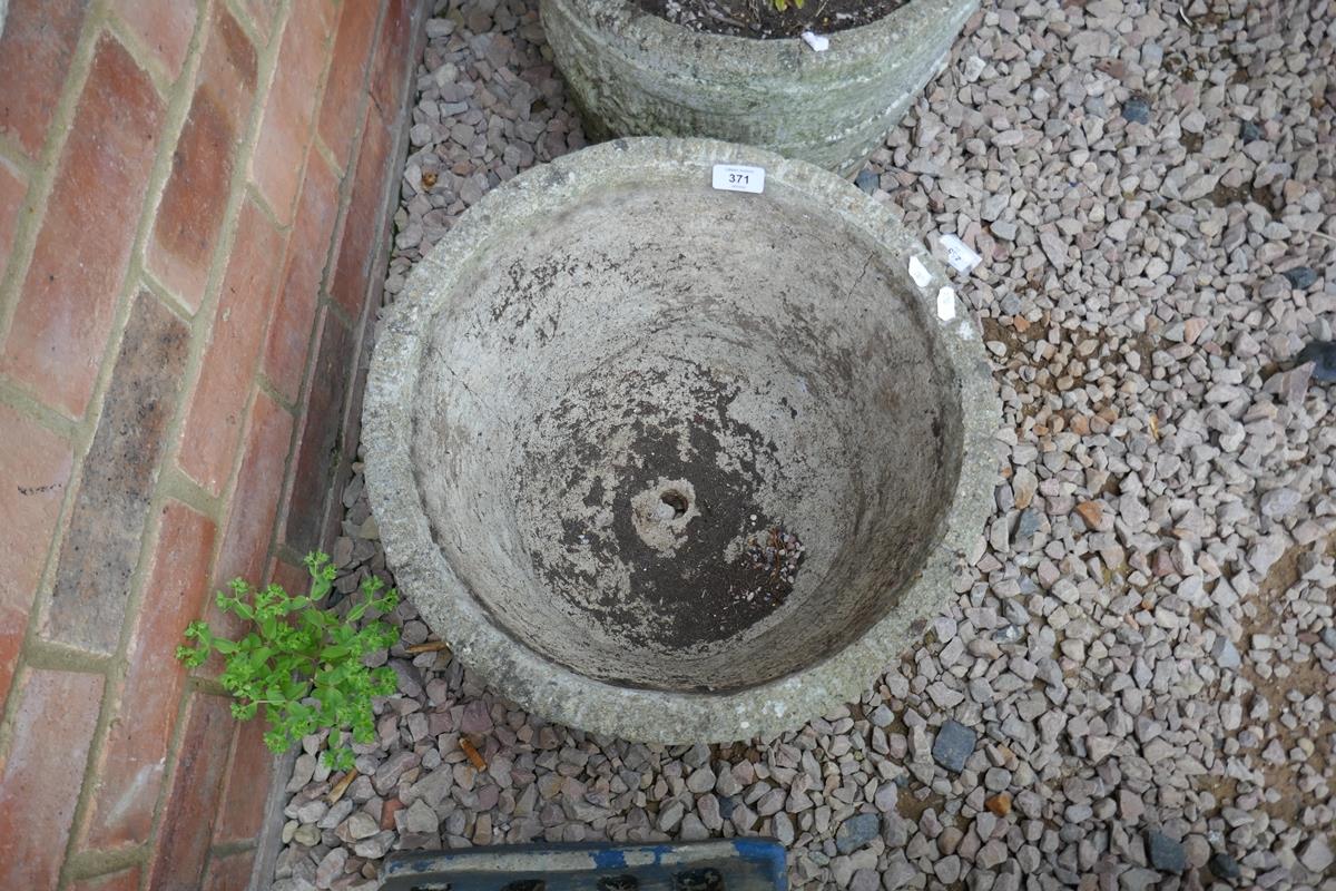 Pair of stone planters 1 with plant - Image 2 of 5