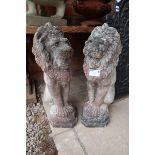 Pair of stone sitting lions - Approx height: 55cm