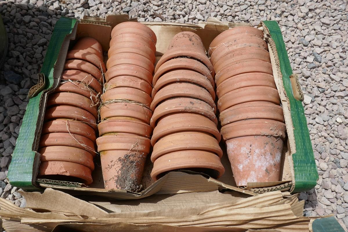 Large collection of terracotta plant pots - Image 2 of 4