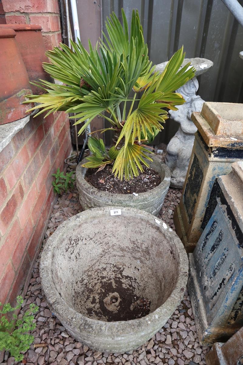 Pair of stone planters 1 with plant