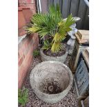 Pair of stone planters 1 with plant