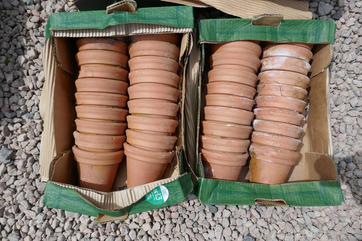 Large collection of terracotta plant pots - Image 4 of 4