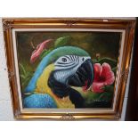 Oil on board - Parrot - Approx image size: 60cm x 49cm