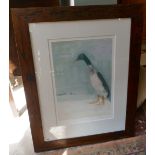 L/E print by Madeline Floyd - Snow duck 133/195