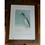 L/E print by Madeline Floyd - Snow duck 133/195