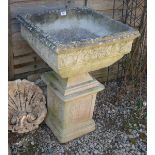 Square stone pedestal planter on plinth