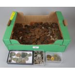 Large collection of coins