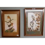 2 watercolours by N J Moore - Ornithological theme