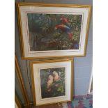 2 signed parrot prints