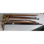 Collection of walking sticks