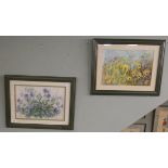 2 botanical themed watercolours - one signed Dorothy Cross - River scenes - Approx image sizes: 32cm