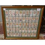 1934 framed cigarette cards - Cricket