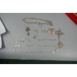 Collection of silver necklaces